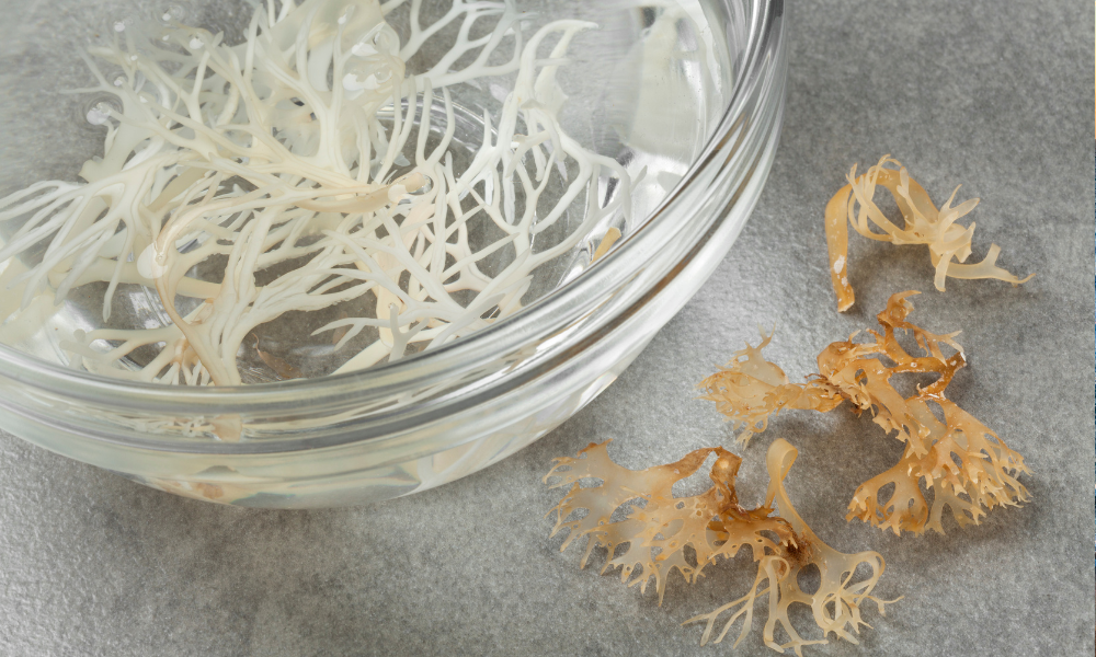 Specific Nutrients in Serrated Fucus and Irish Moss That Benefit the Skin