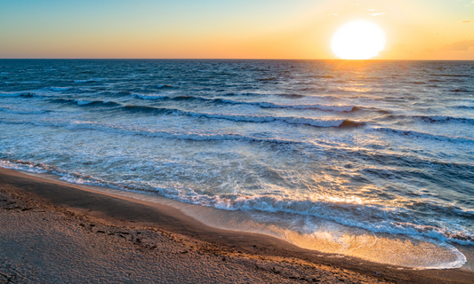 Harnessing the Power of the Sea: Our Seaweed Skincare Line